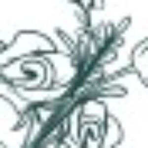 Group logo of Illustration Services @childrenillustrationuk